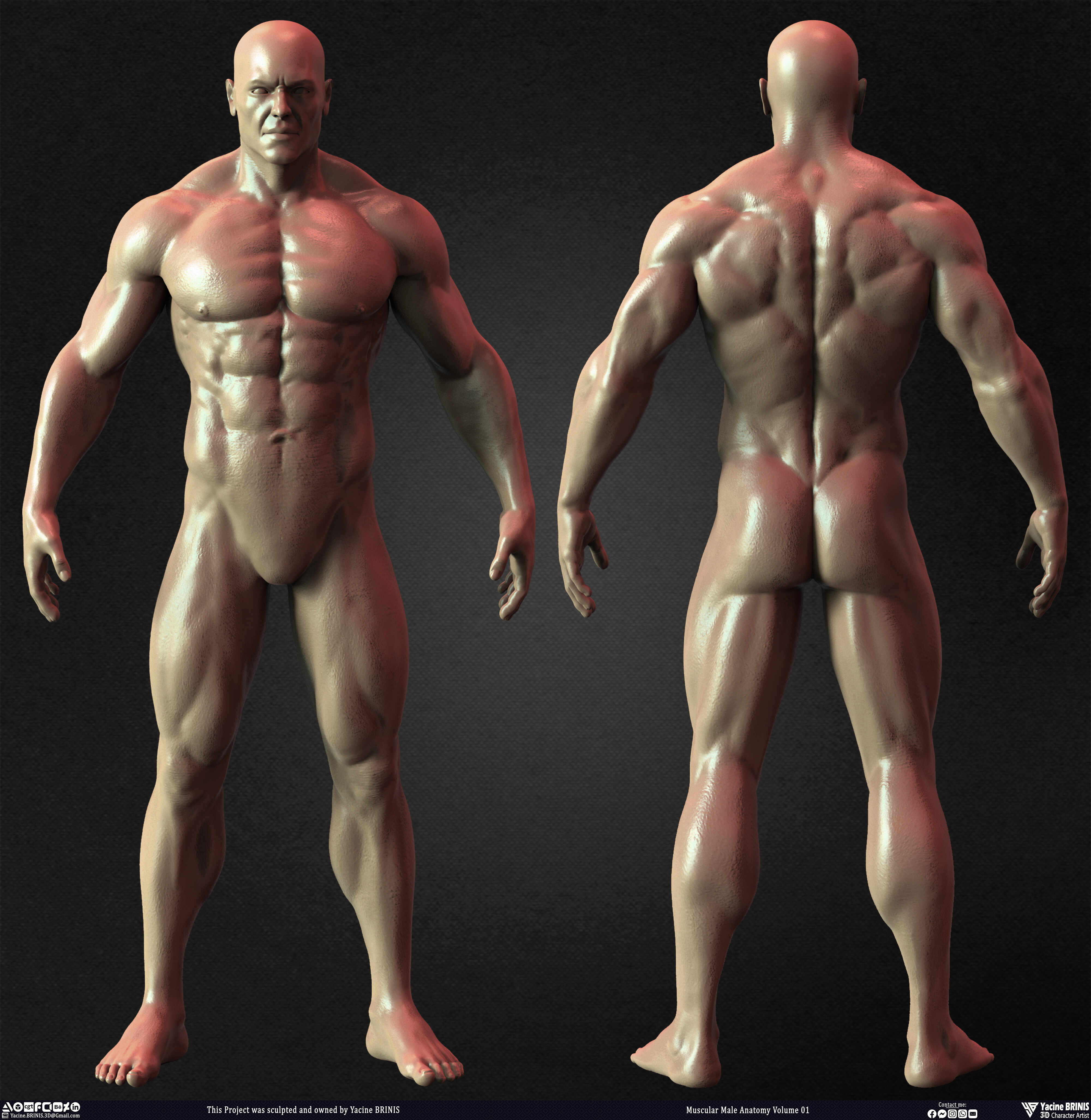 Muscular Male Anatomy 3D Character sculpted by Yacine BRINIS 015