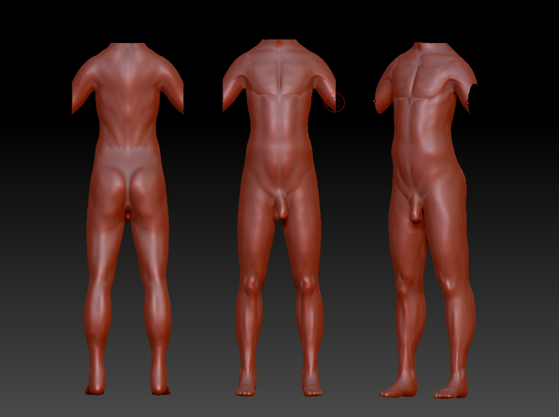 MALE body WIP.jpg