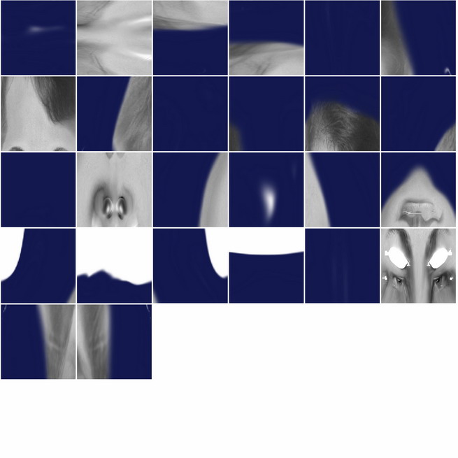 ZTexture02_Ryan question.jpg