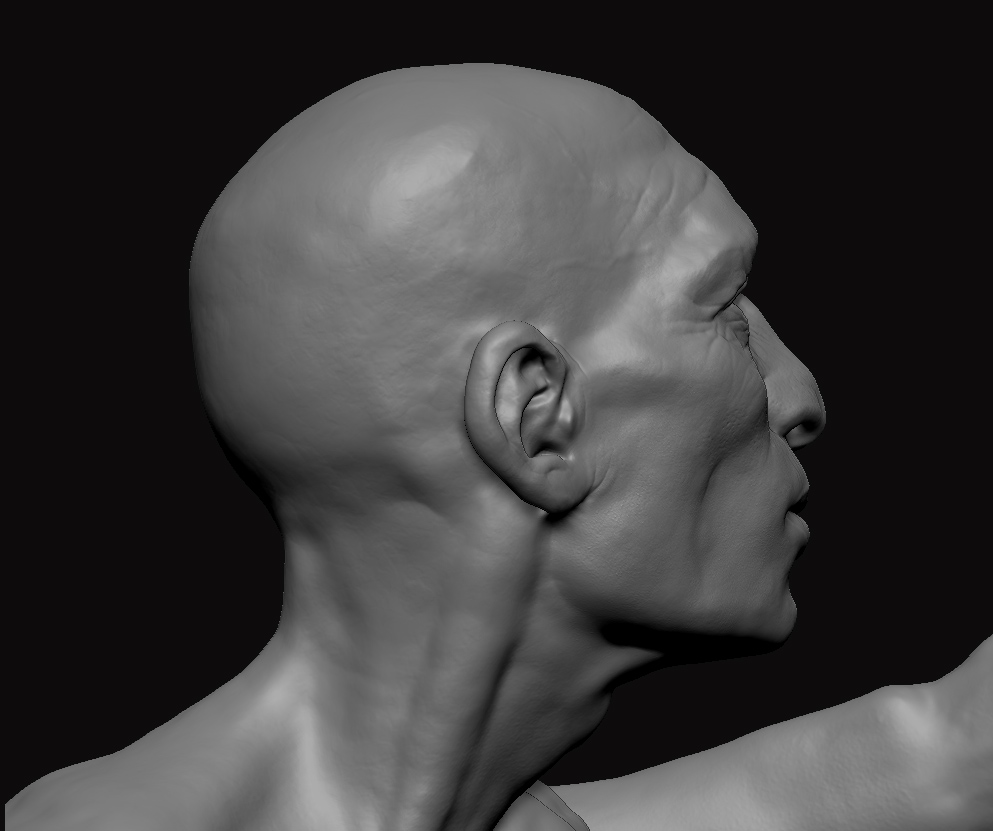Head_01.jpg