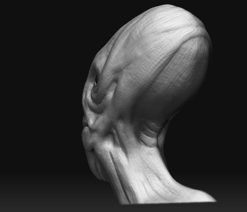 head_back.jpg