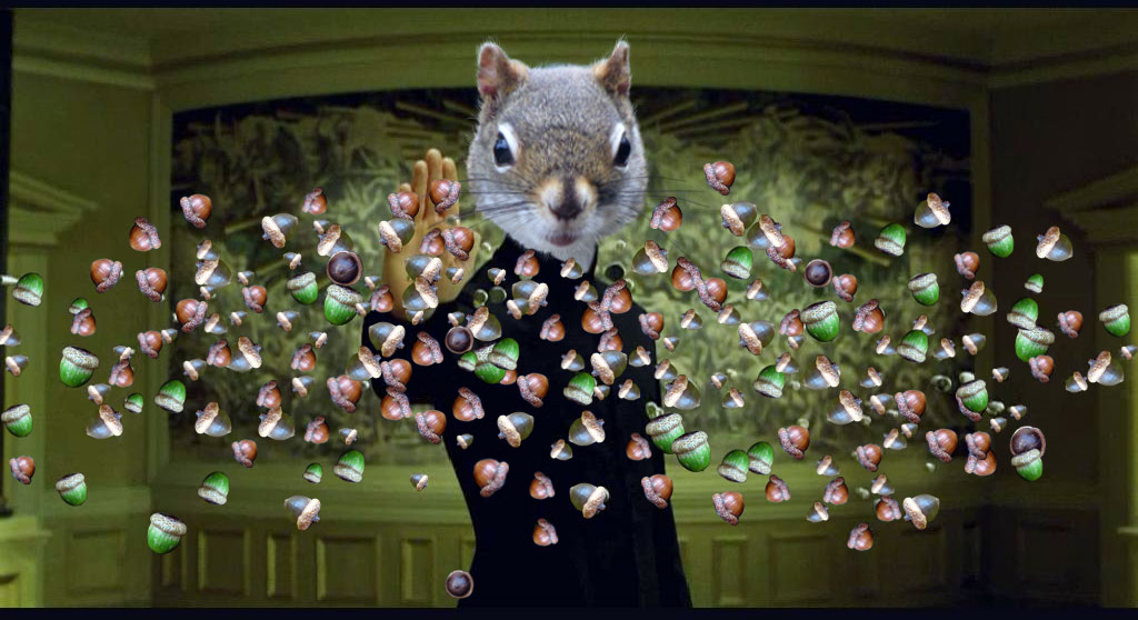 Neo_stop_acorns.jpg