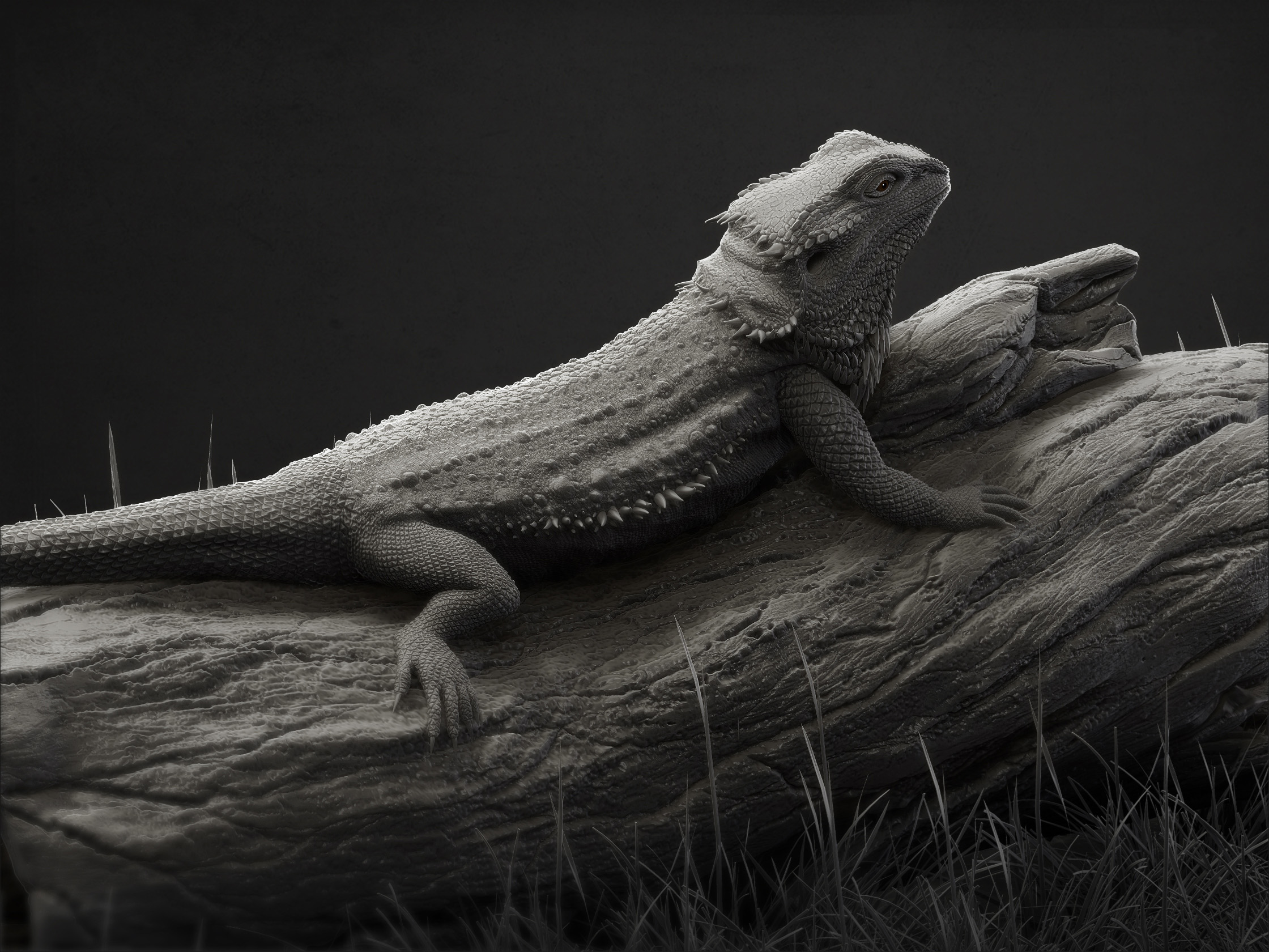 Final render 2.jpg