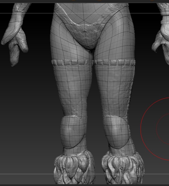 legs.jpg