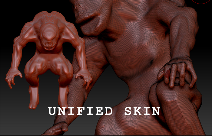 unified skin.jpg
