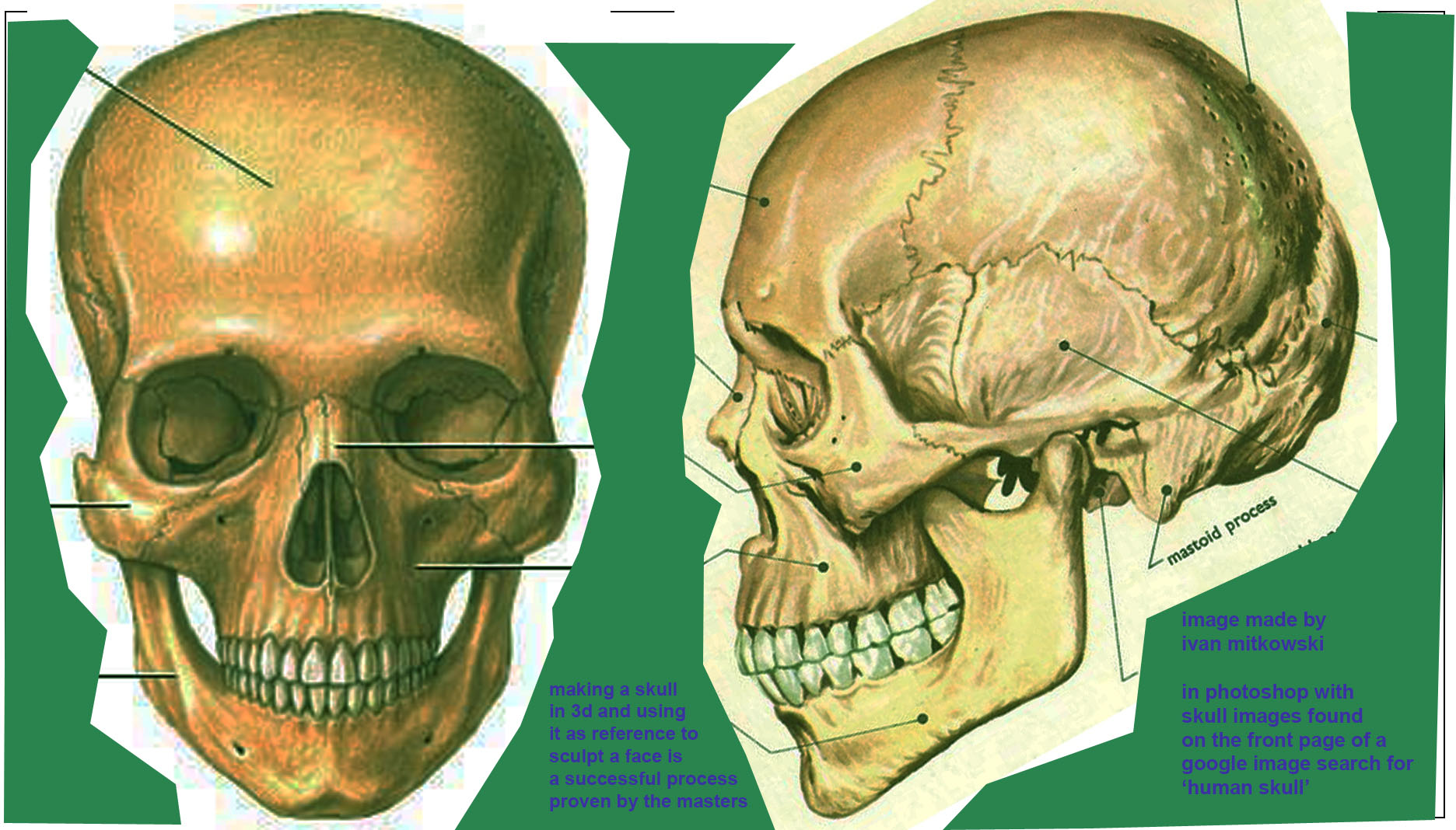 skullreference1.jpg