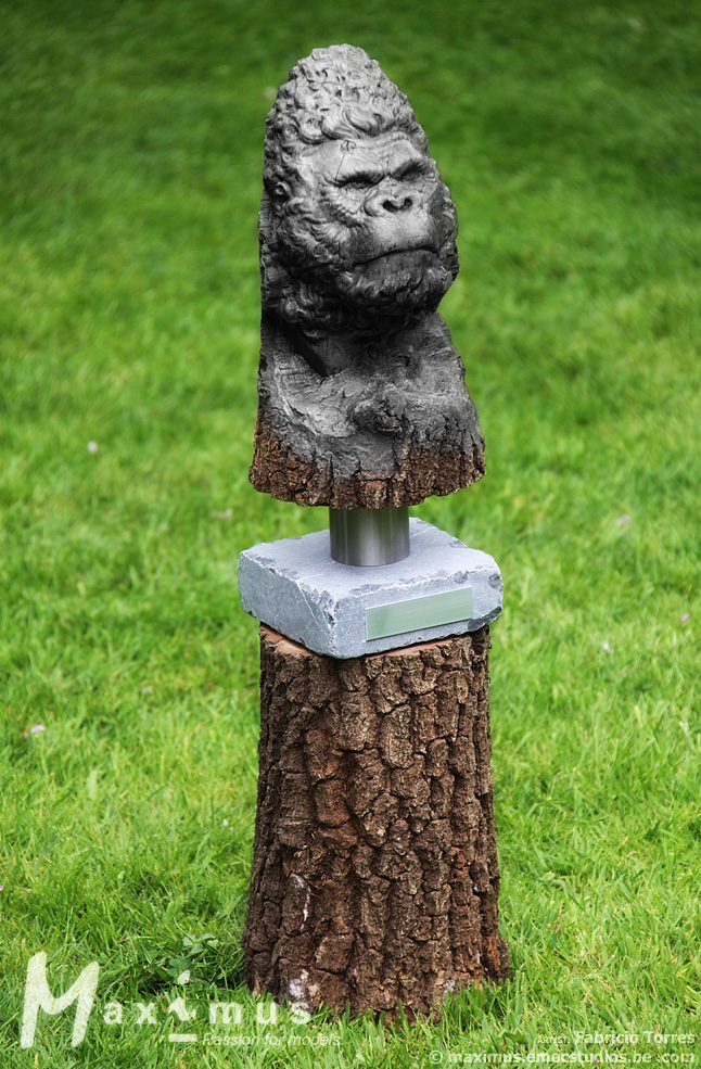c1_Fabricio Torres gorilla_2_04.jpg