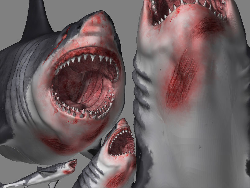 scars5ix.jpg
