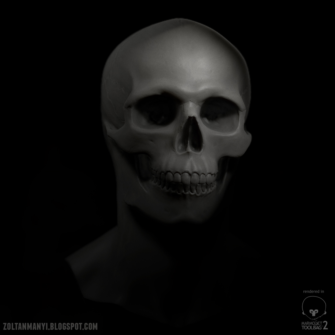 SkullMarmo_shot_04.jpg