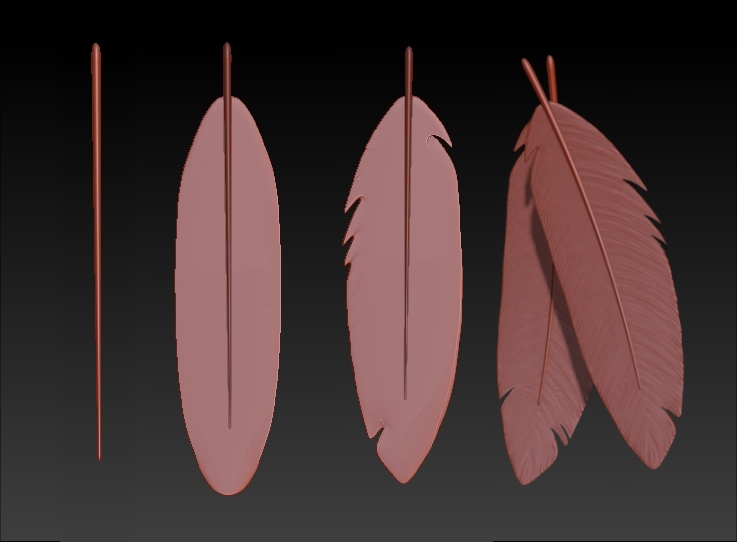 4Feathers.jpg