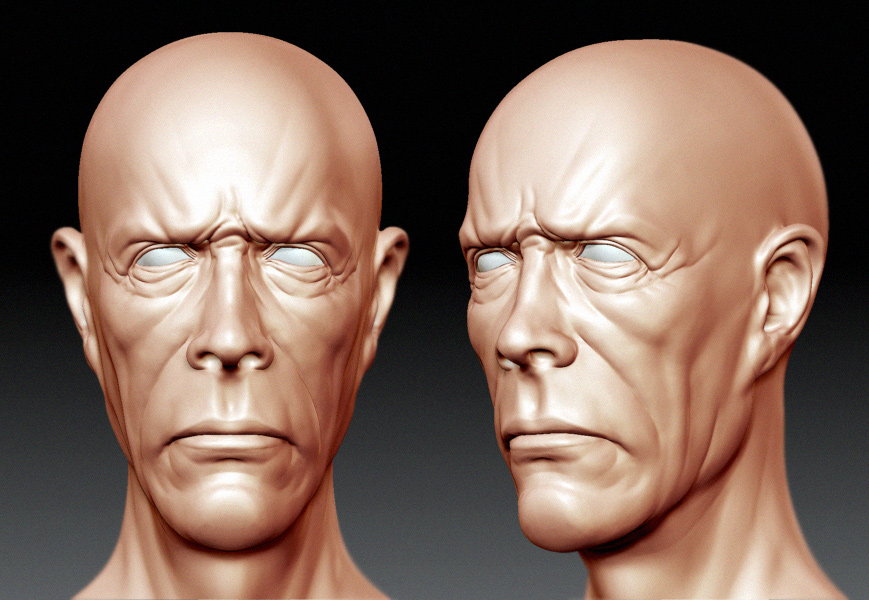 Head.jpg