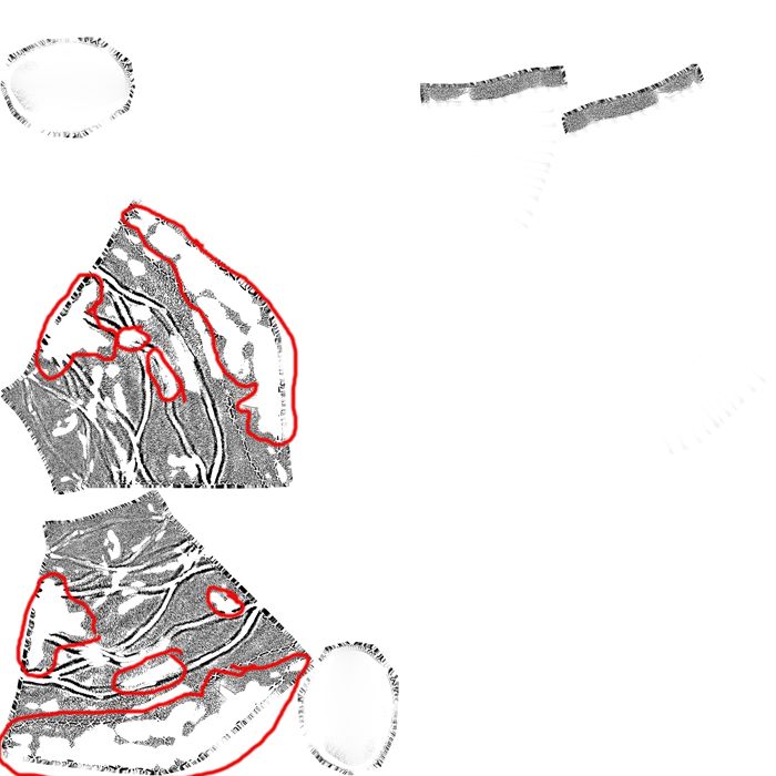 Cavity_Legs_Geomancer_Guy HOLES.jpg