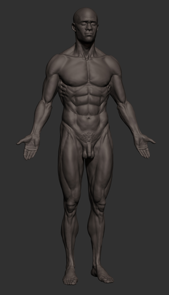 Blackmale_anatomy_Front1.JPG