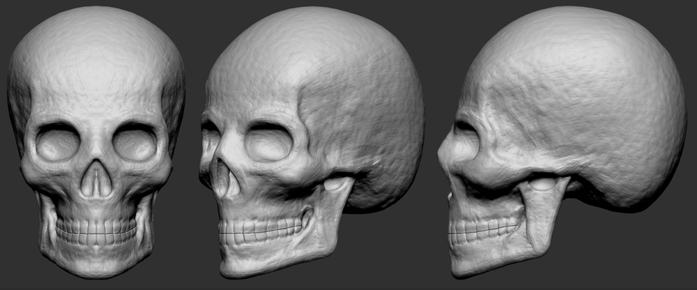 Skullsmall2.jpg