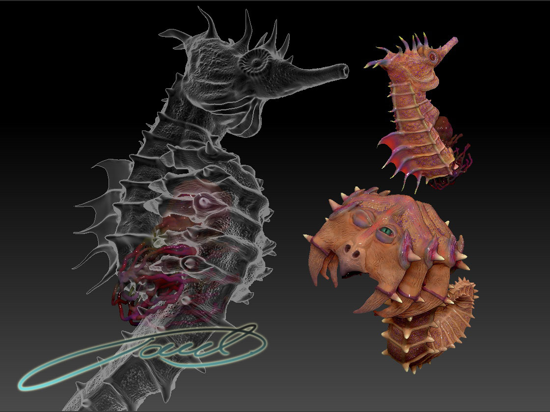 SEAHORSE_02.jpg