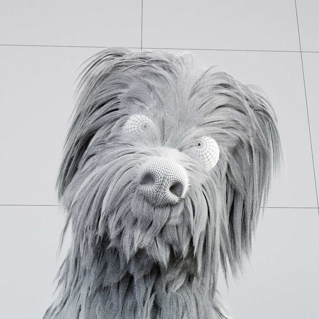wireframe