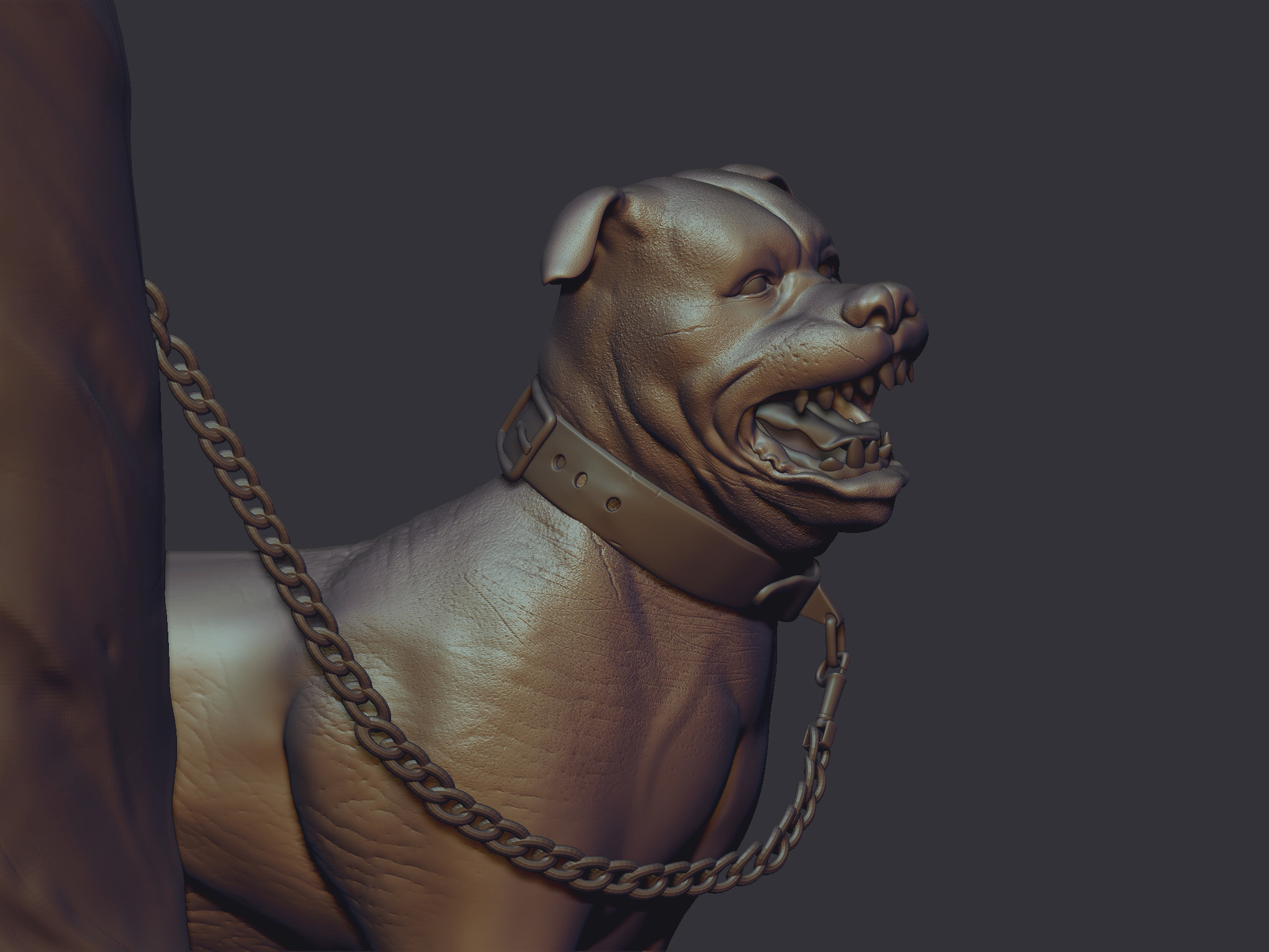 dog close up.jpg