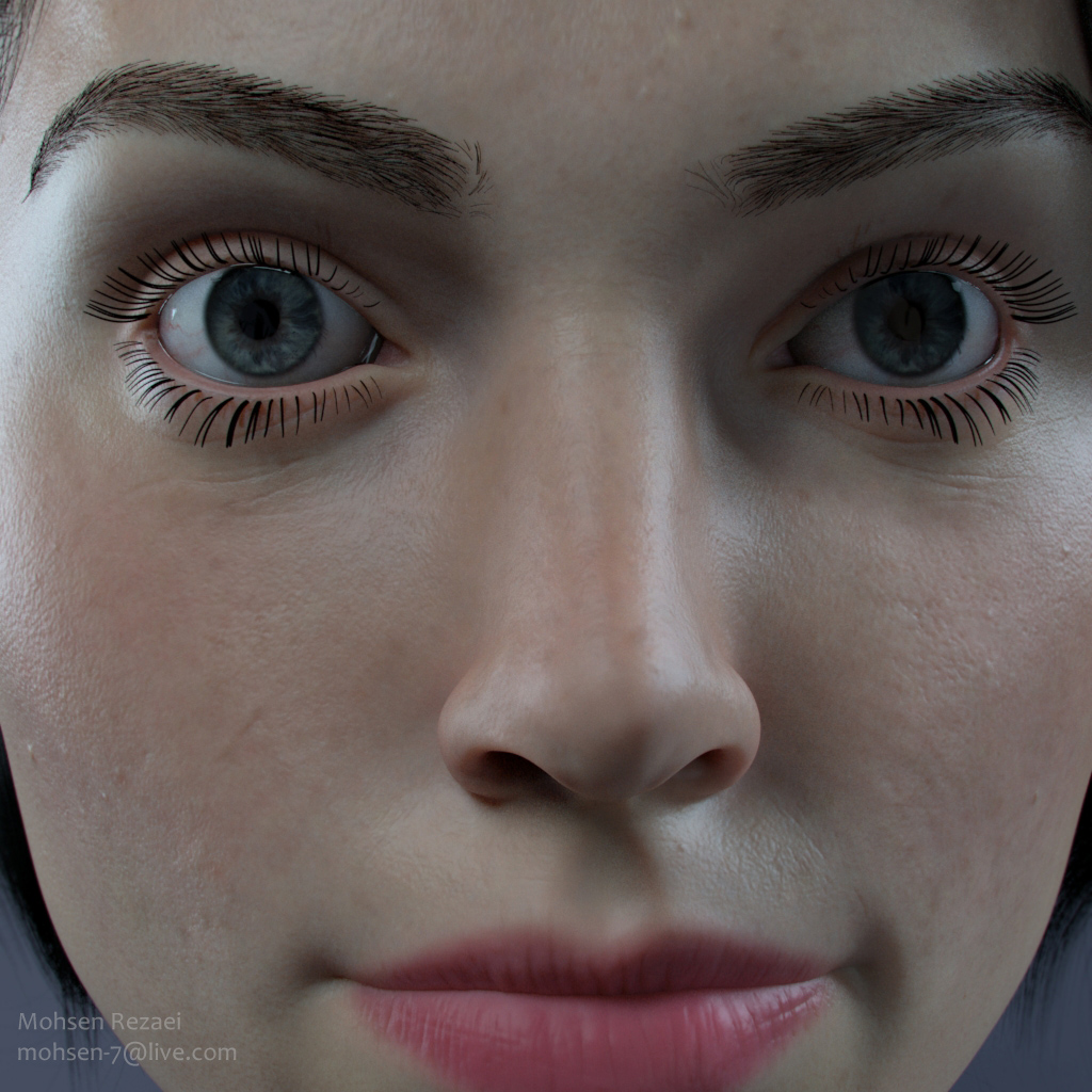 daisy-4-1_1.jpg
