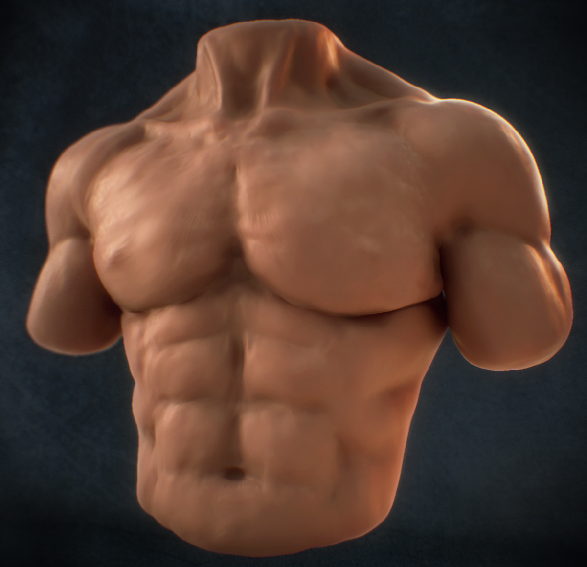 small Second Torso Render.jpg