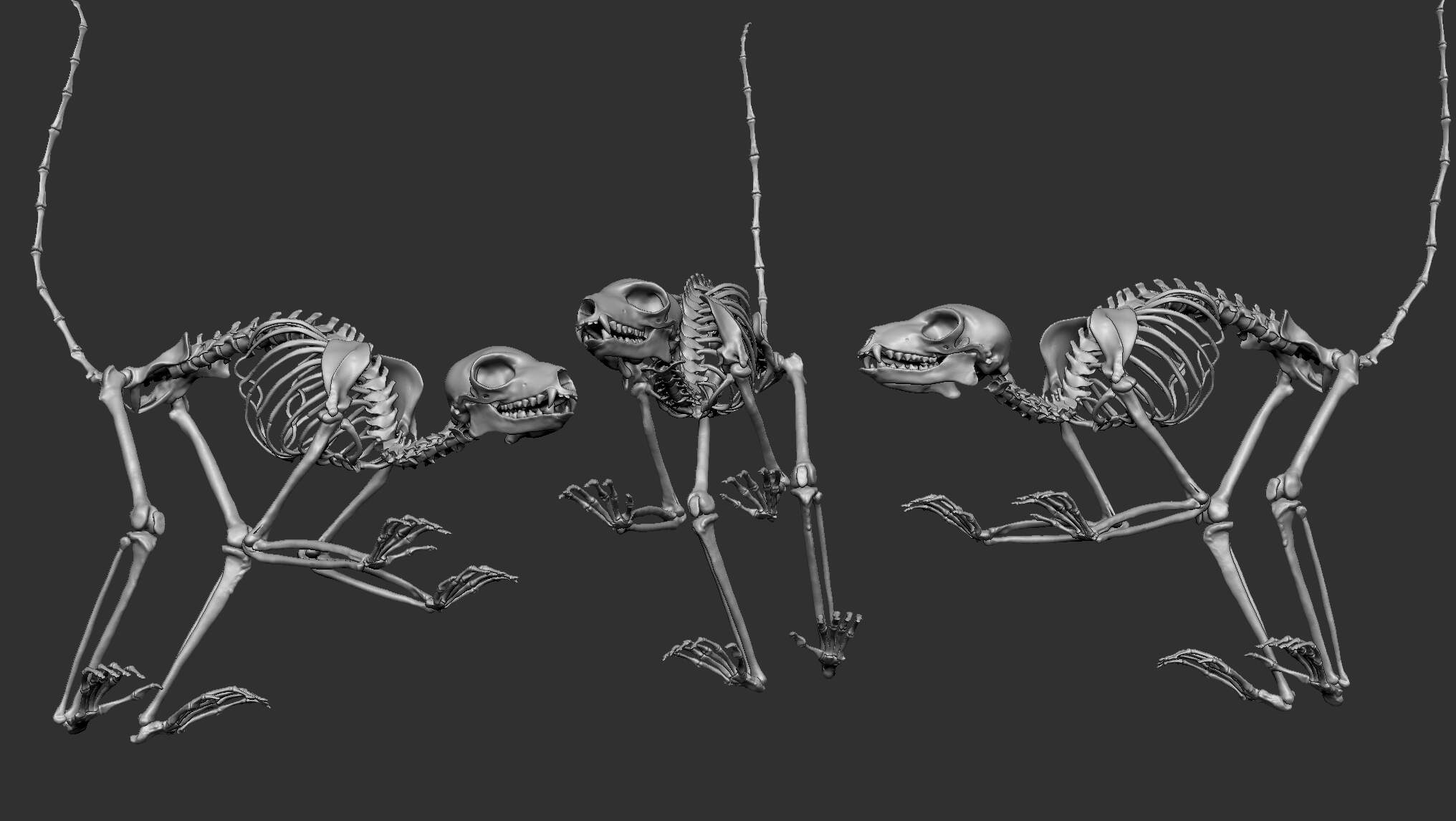 ZBrush_2020-09-19_21-35-17