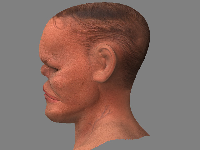 3d_ogre_side1_eye.jpg