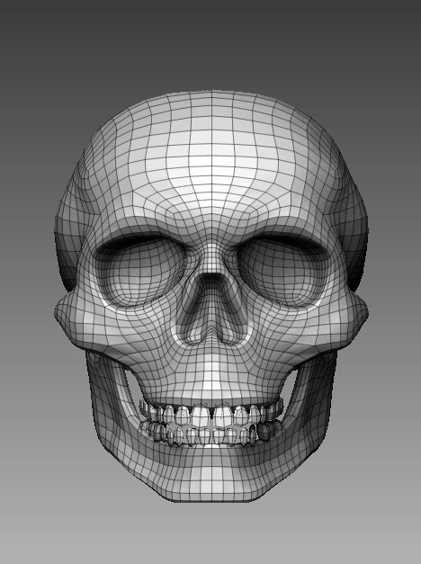skull_01.jpg