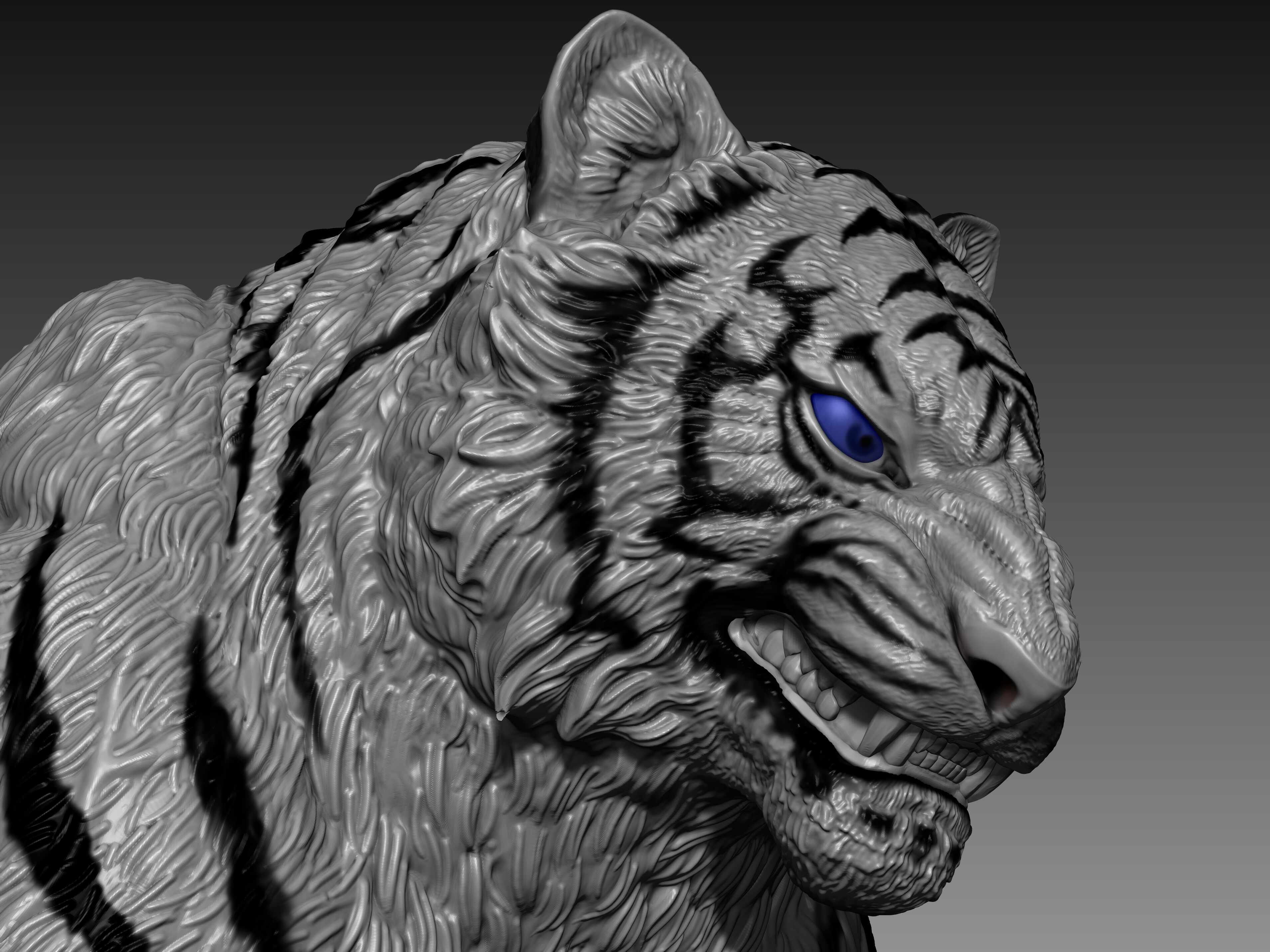 white tiger | 3D model