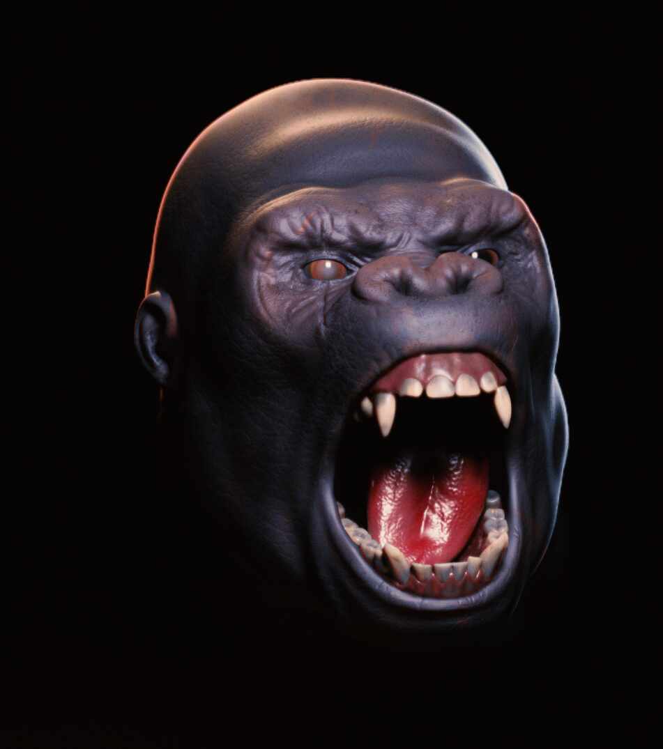 kong2
