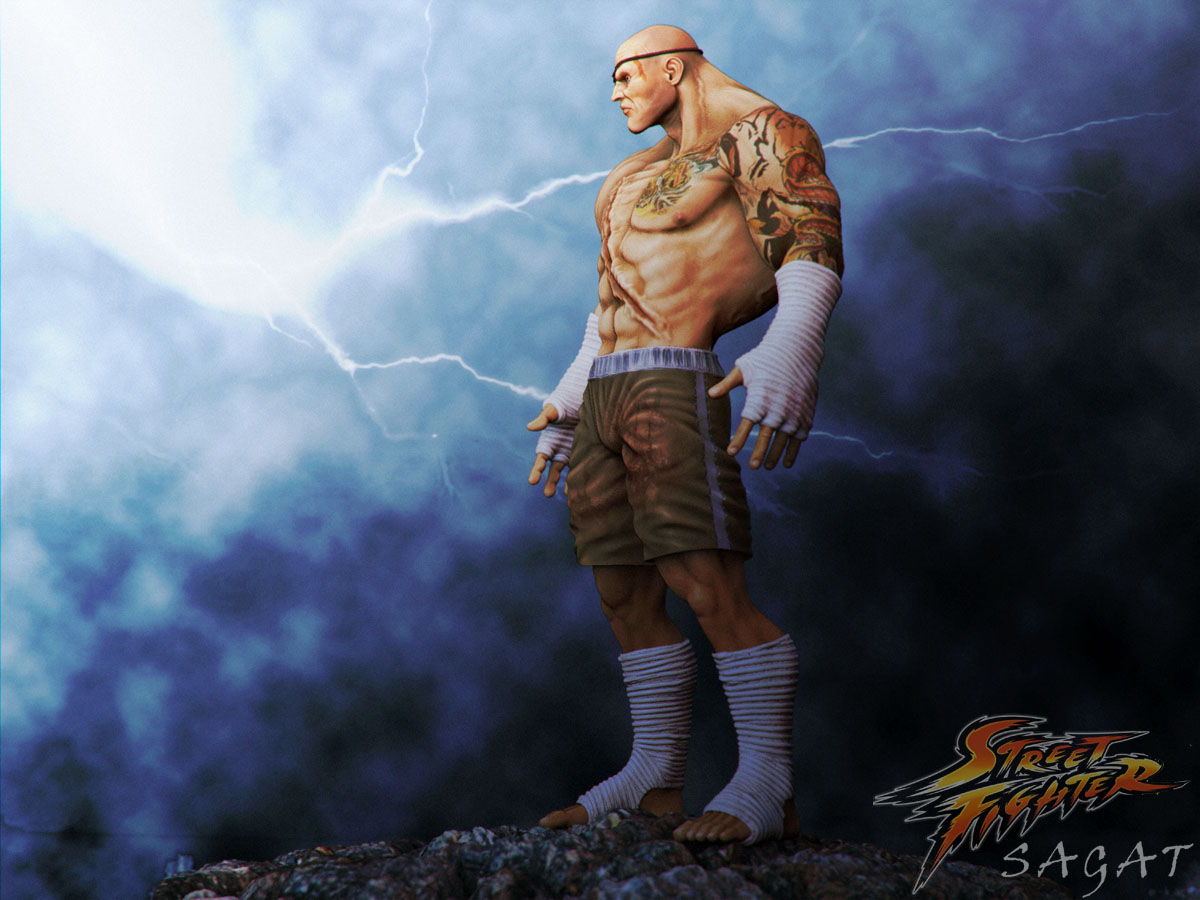 Sagat 5 b.jpg