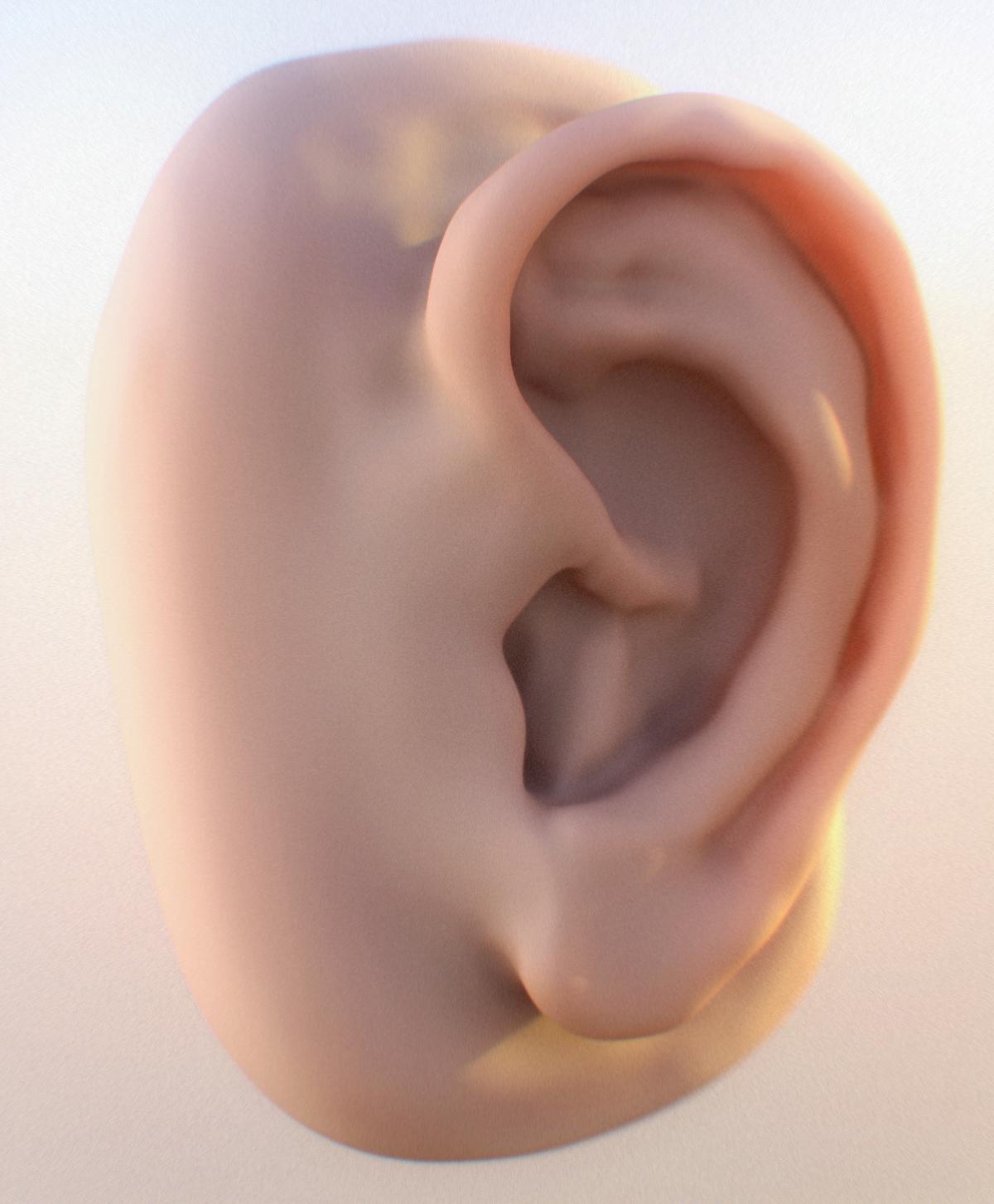 ear render.jpg