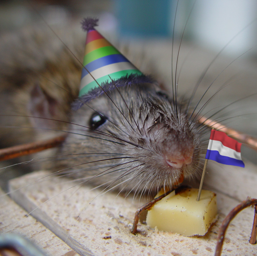 RatTrap.jpg