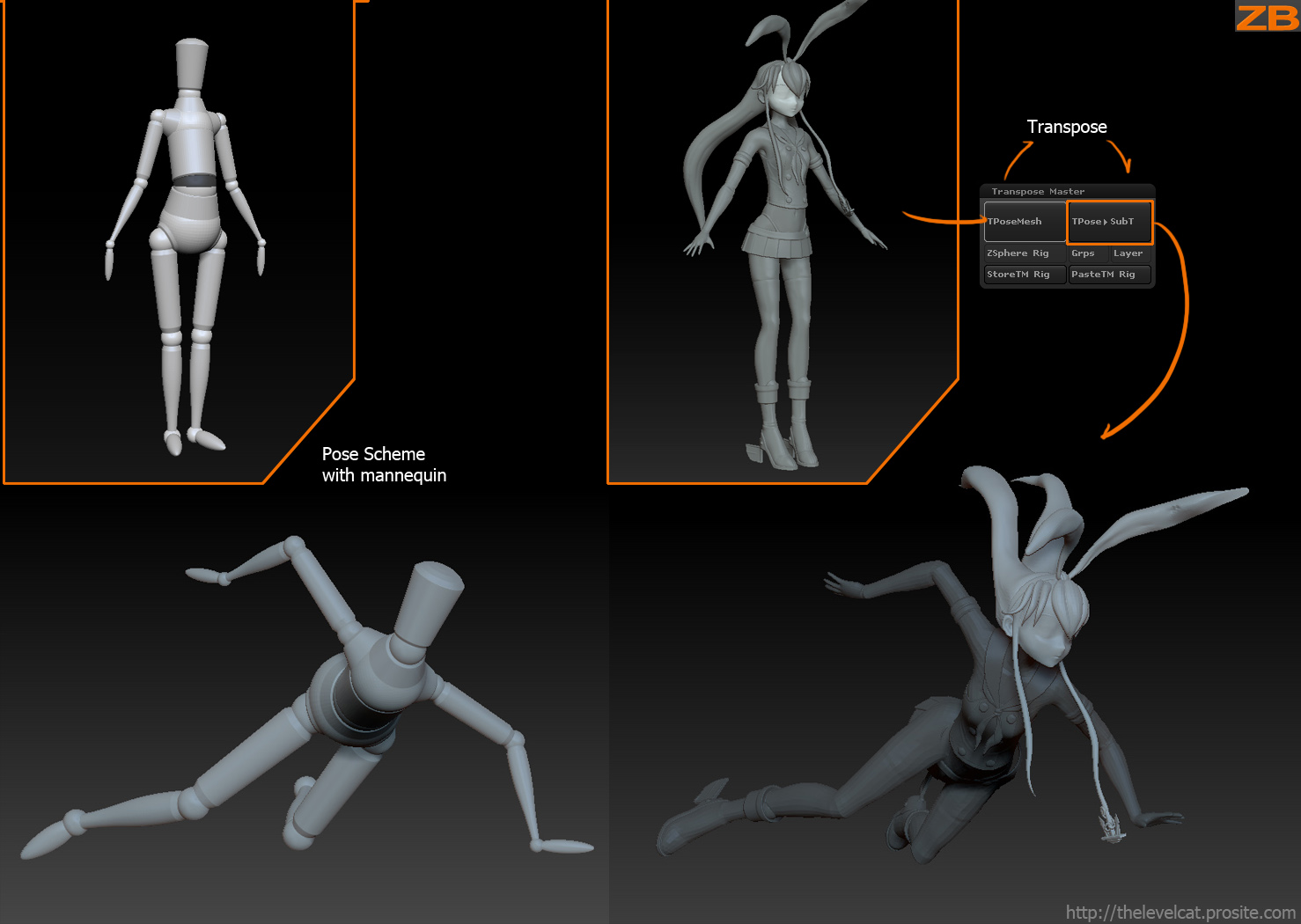 posing_schematic.jpg