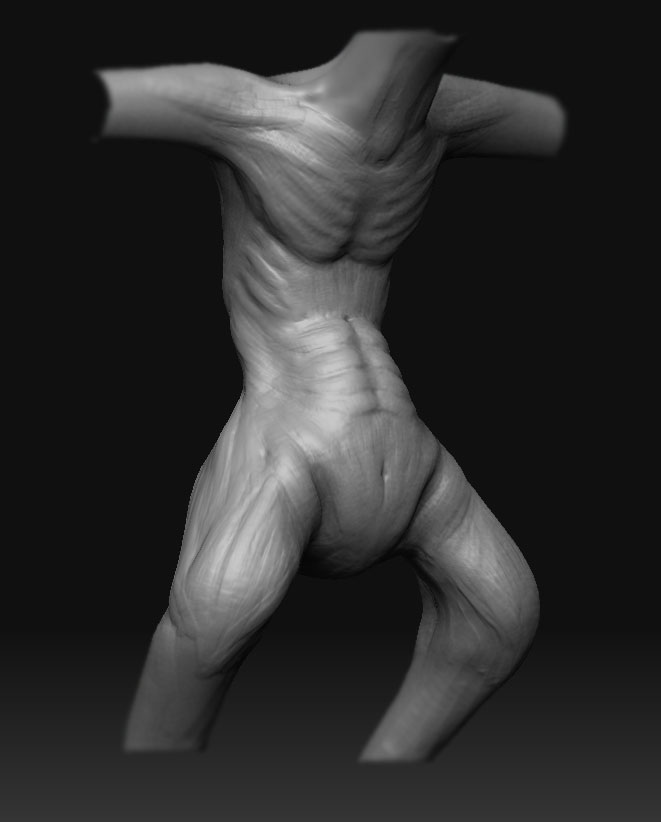 wip_torso_1.jpg