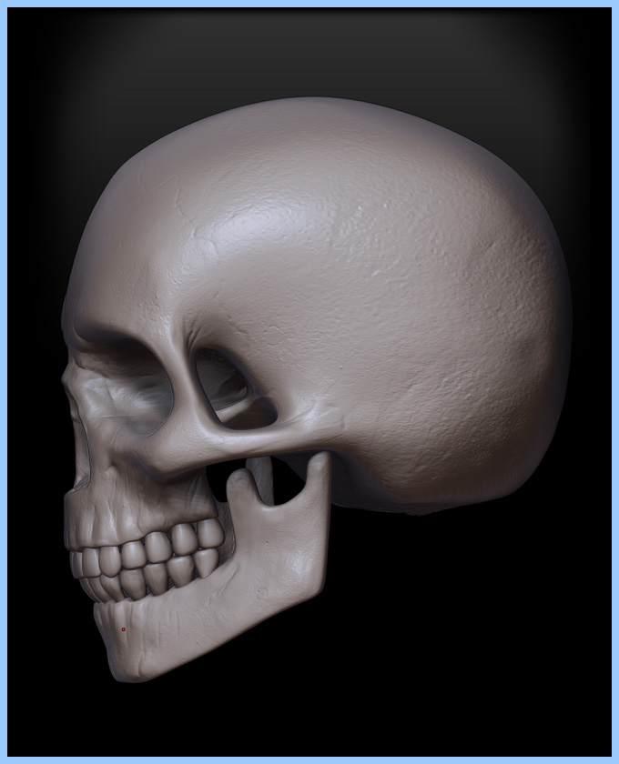 SPI_SKULL_004.jpg