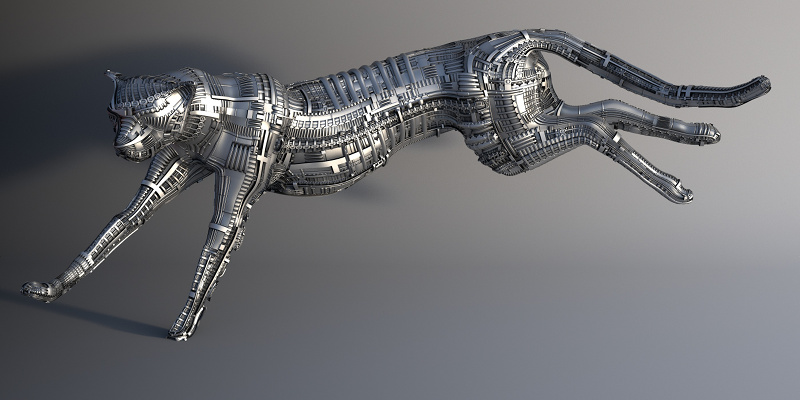 cheetah_10_small.jpg