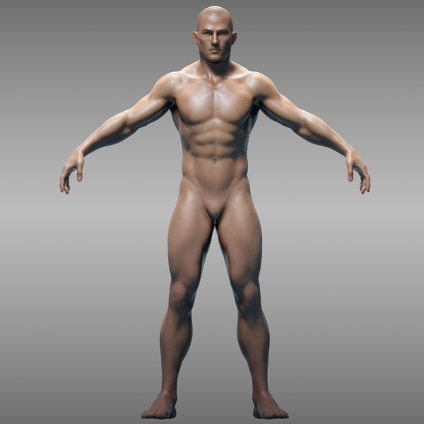 BodyBuilder4.jpg