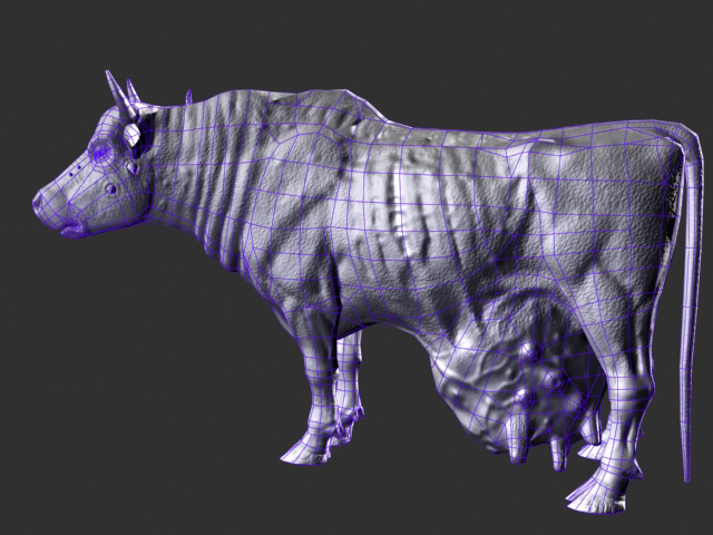 brahmin_5.jpg