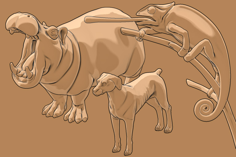 Zsketching_cartoon_animals-.jpg