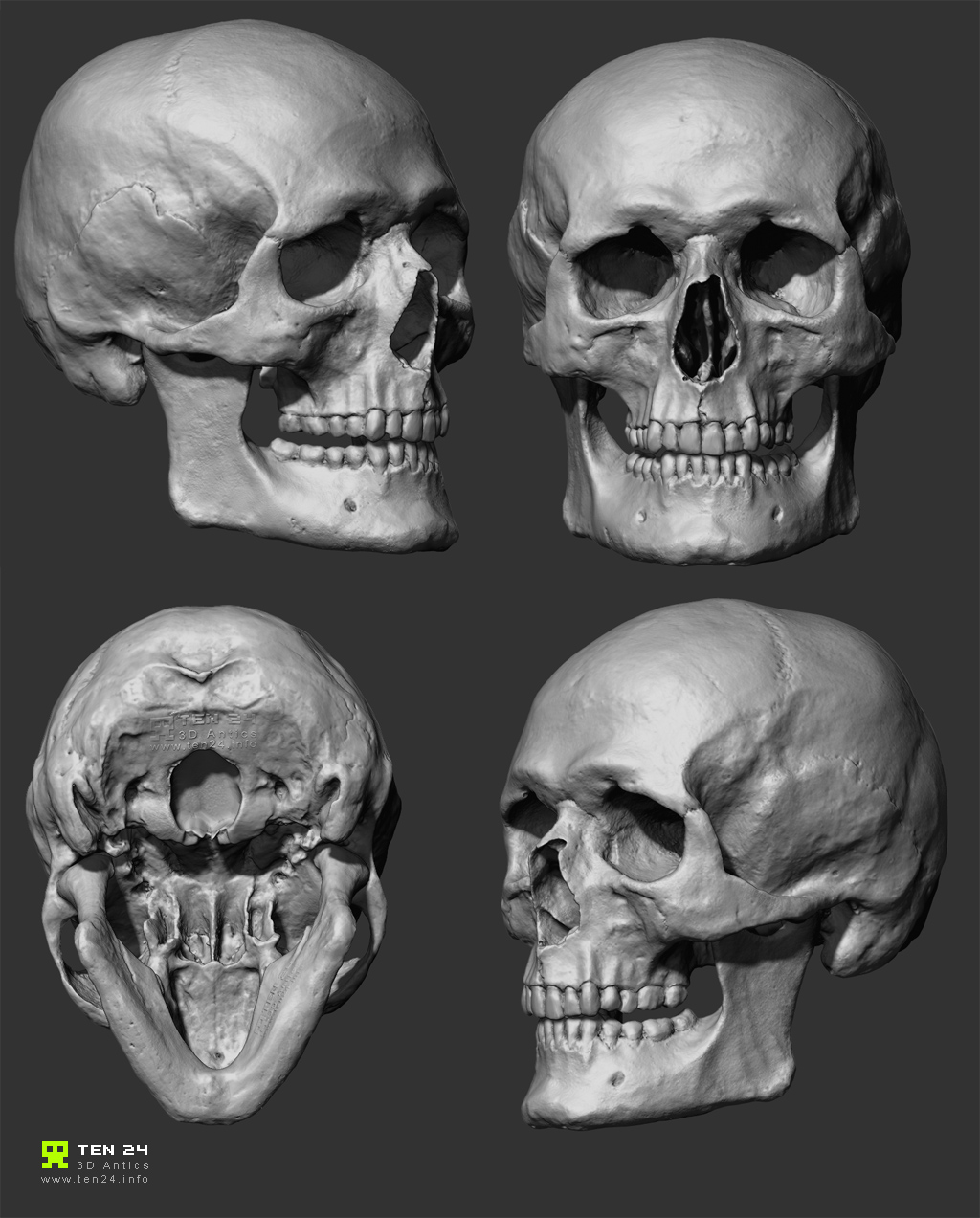 Skull.JPG
