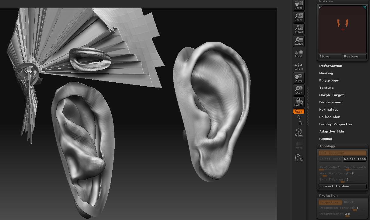 GOOD EARS BAD EYE.JPG