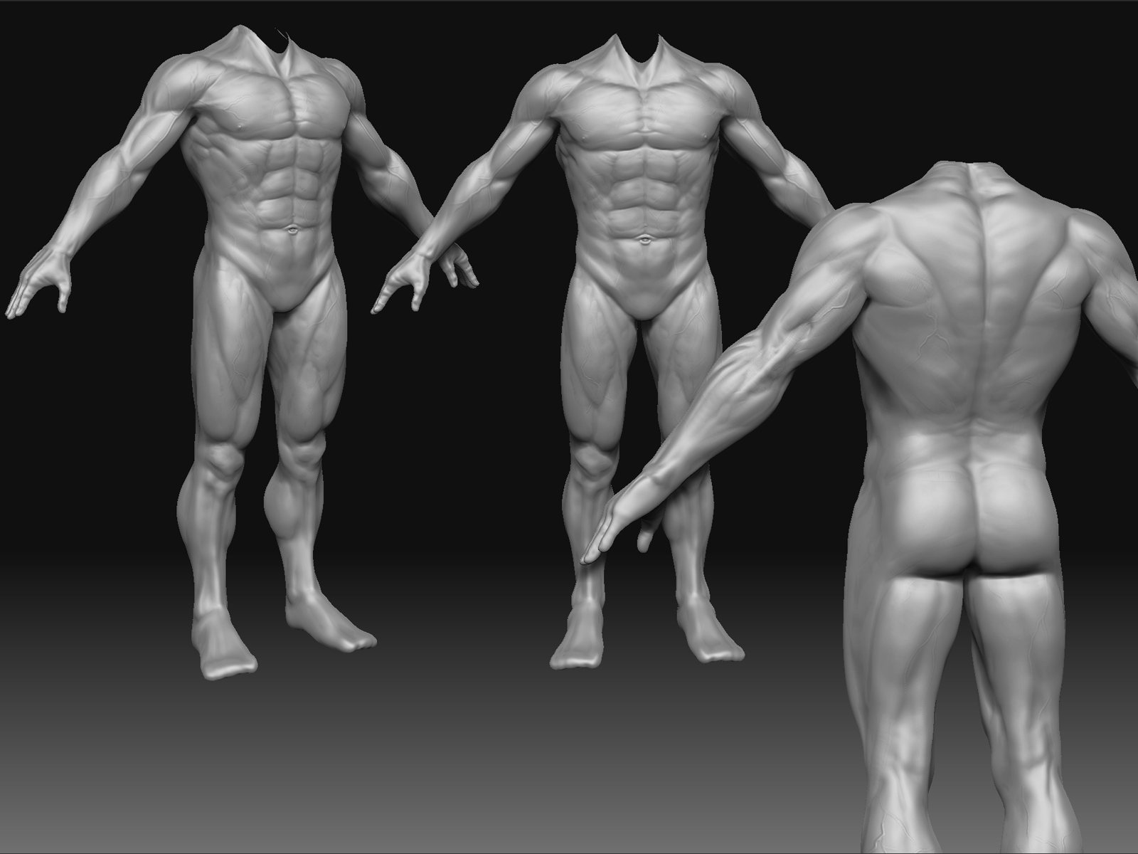 anatomy_wip.jpg