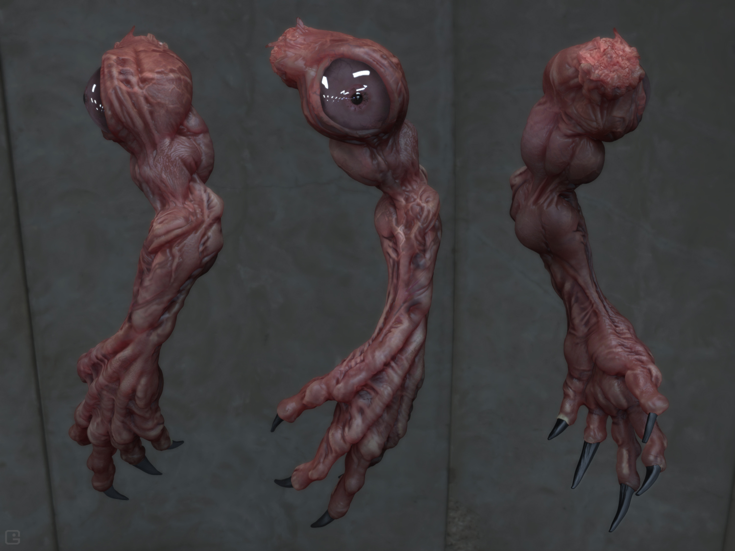 arm01.jpg
