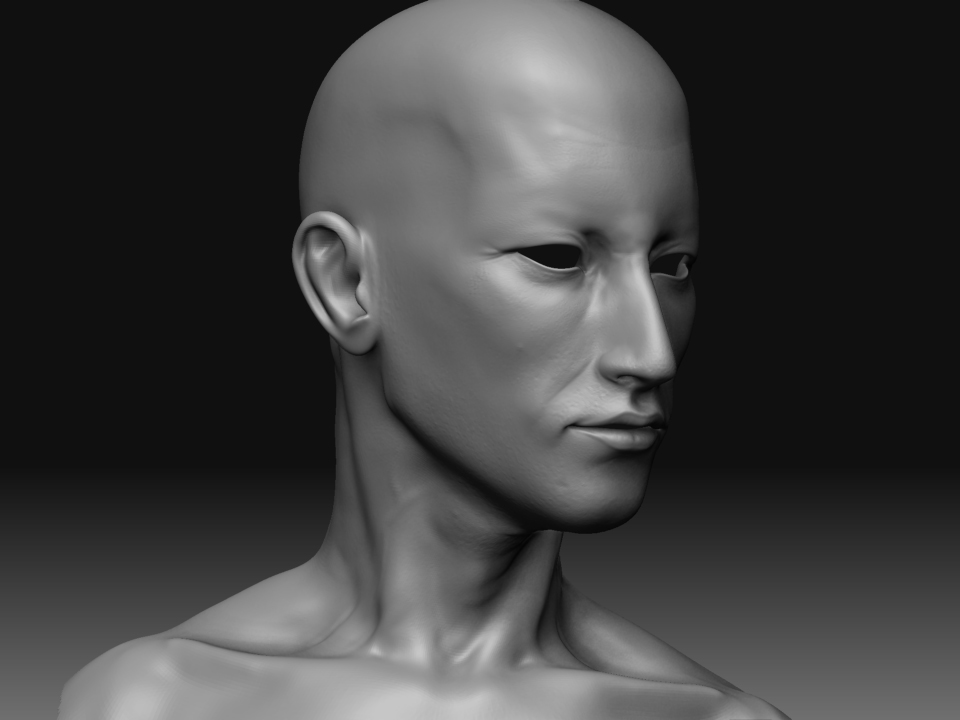 head.jpg