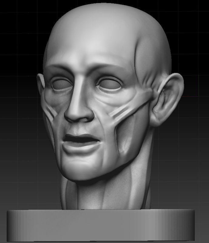 ecorche_side03.png