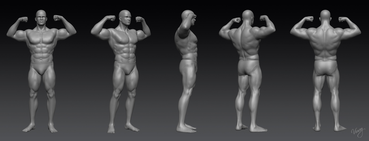Steve zbrush views_gray.jpg