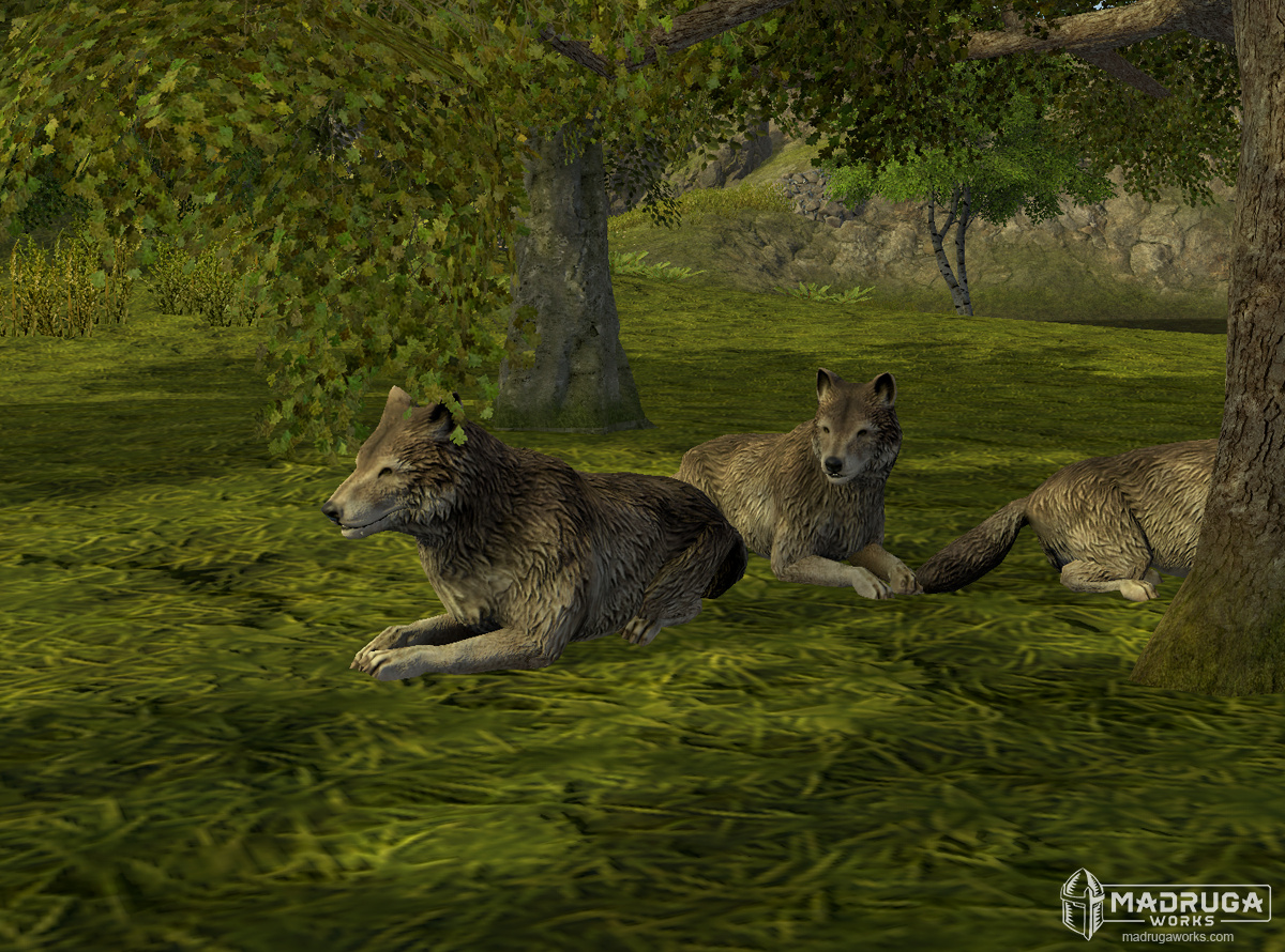 screen_wolf_01
