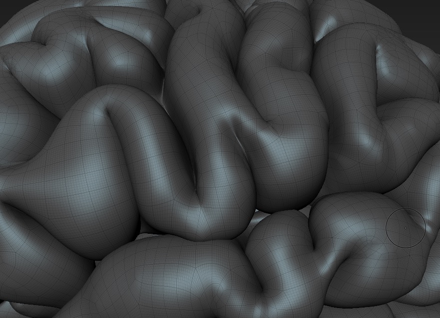 bulge.JPG