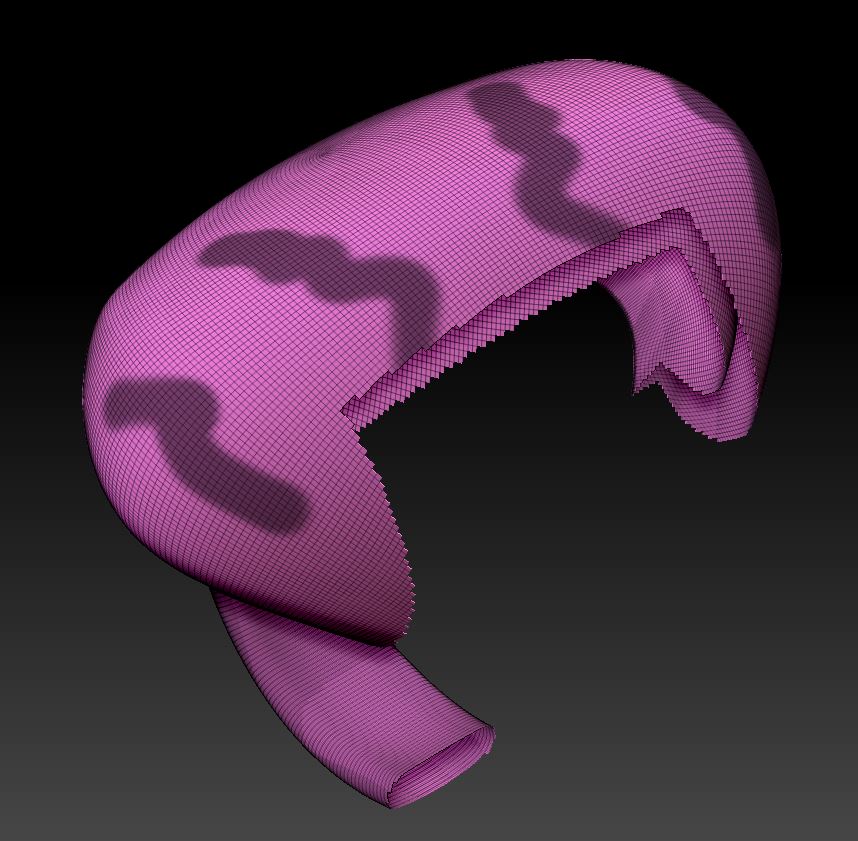 Double Sided Skin.JPG