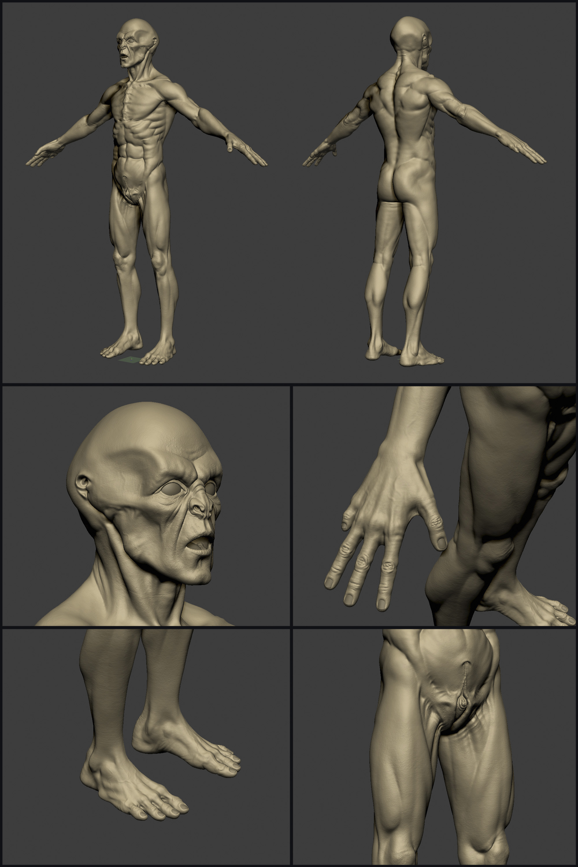 ZC_01.jpg