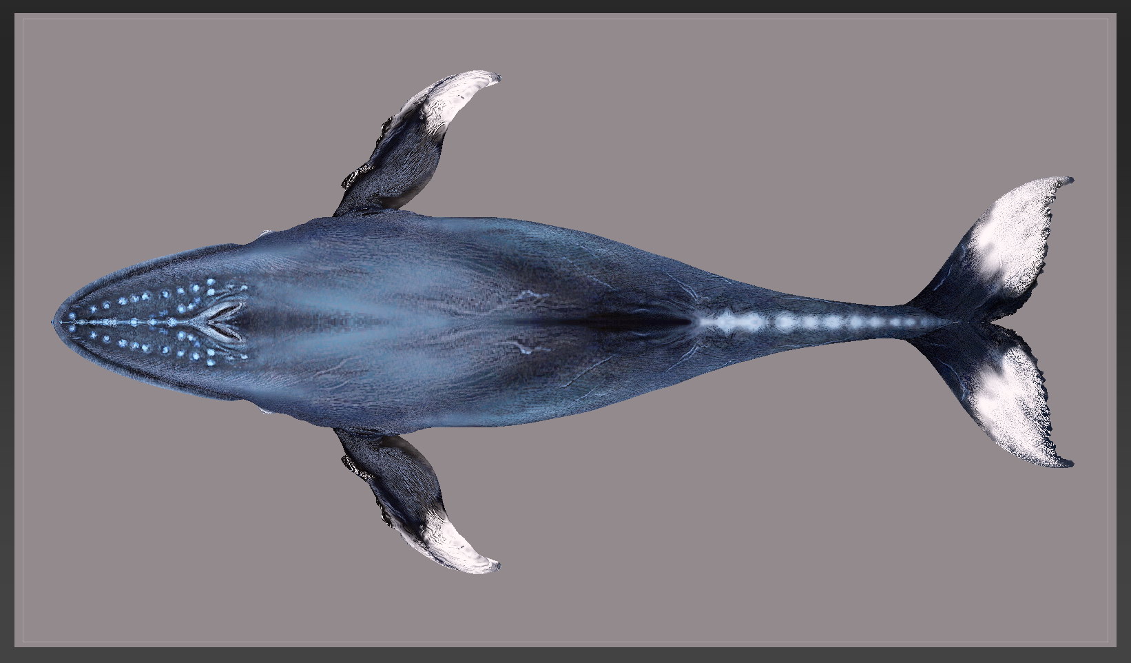 whale paint top.jpg